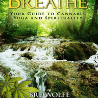 Breathe | Role: Project management 