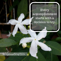 Sample Photo I Made With Canva