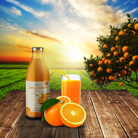 Portfolio Thumbnail 7