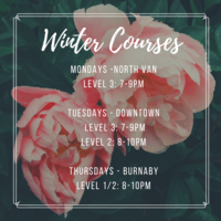 Instagram post - dance workshop schedule