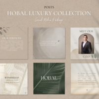 Social Media Posts Design 