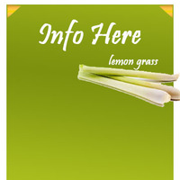 Informative Brochure Design
