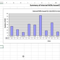 Month Report in Excel sheets