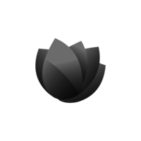 Portfolio Thumbnail 11