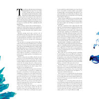 United Maverick Magazine Vol2