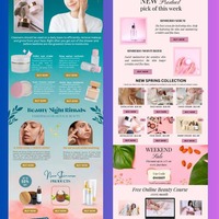 Email Campaign
