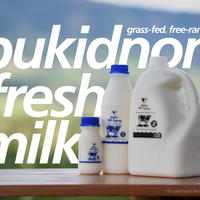 Mindanao Fresh Milk Design