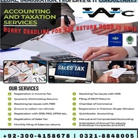 Portfolio Thumbnail 2