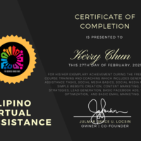 FVA Gold Training Certificate