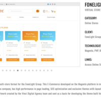 VIRTUAL STORE IN MULTI-STORE FORMAT