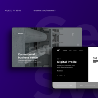 Portfolio Thumbnail 3