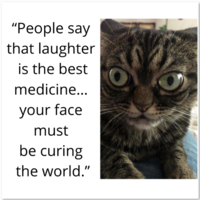 Portfolio Thumbnail 10