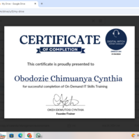 ONLINE IN-DEMAND SKILLS CERTIFICATE