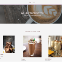 My Shopify Website