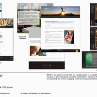 Various - Digital & Web