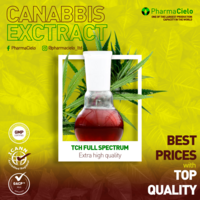 Portfolio Thumbnail 6