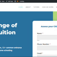 WordPress Web Design