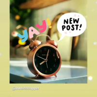 B.Weiss Copper Instagram Story