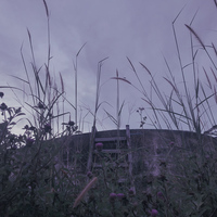 Portfolio Thumbnail 0