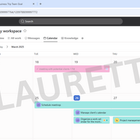 Use of Asana workspace