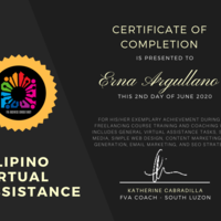 Filipino Virtual Assistance - Gold Certificate