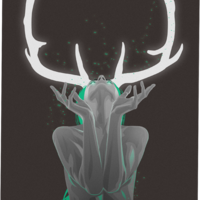 Graphic Design / Illustration