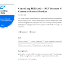 SAP Business Network Consulting Skills