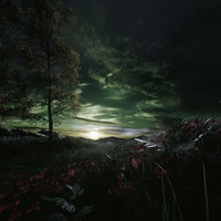 Portfolio Thumbnail 26