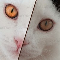 before/after