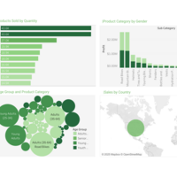 Data Visualization with Tableau