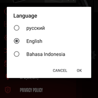 Localization 