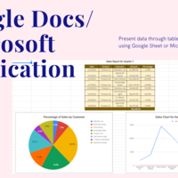 Google Docs / Microsoft Application