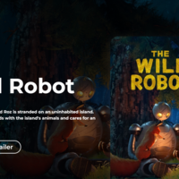 Movie App using MERN Stack