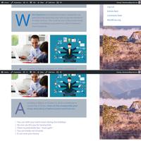WordPress3