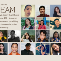 BRI Consulting Team