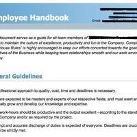 Employee Handbook (HR Dev)