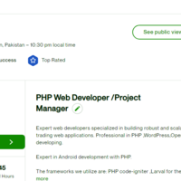 Top Rated Upwork Web Developer Profile
