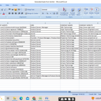 Leads generated on IT company owners 