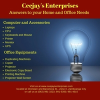 Ceejay's enterprises products