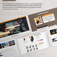 Shopify website development