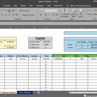 Options Trading Journal