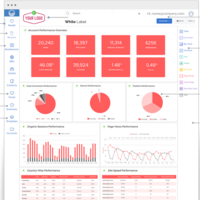 SEO Reports