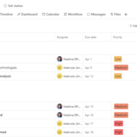 Asana Deadline-bound project
