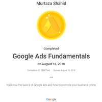 Google AdWord Professional 