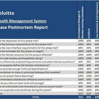 Project Postmortem Report