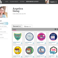 Credly Badges showing my skills