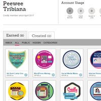 Virtual Assistant Boot Camp Badges
