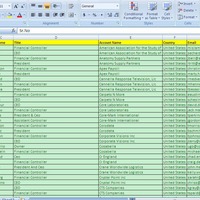 CEO, CFO and Top Management Executive Email List