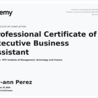 PROFESSIONAL CERTIFICATE OF EXECUTIVE BUSINESS ASSISTANT