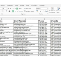 Some Business Data Entry in Excel